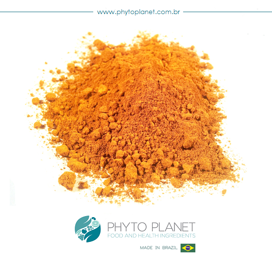 SPRAY DRIED PAPAYA POWDER