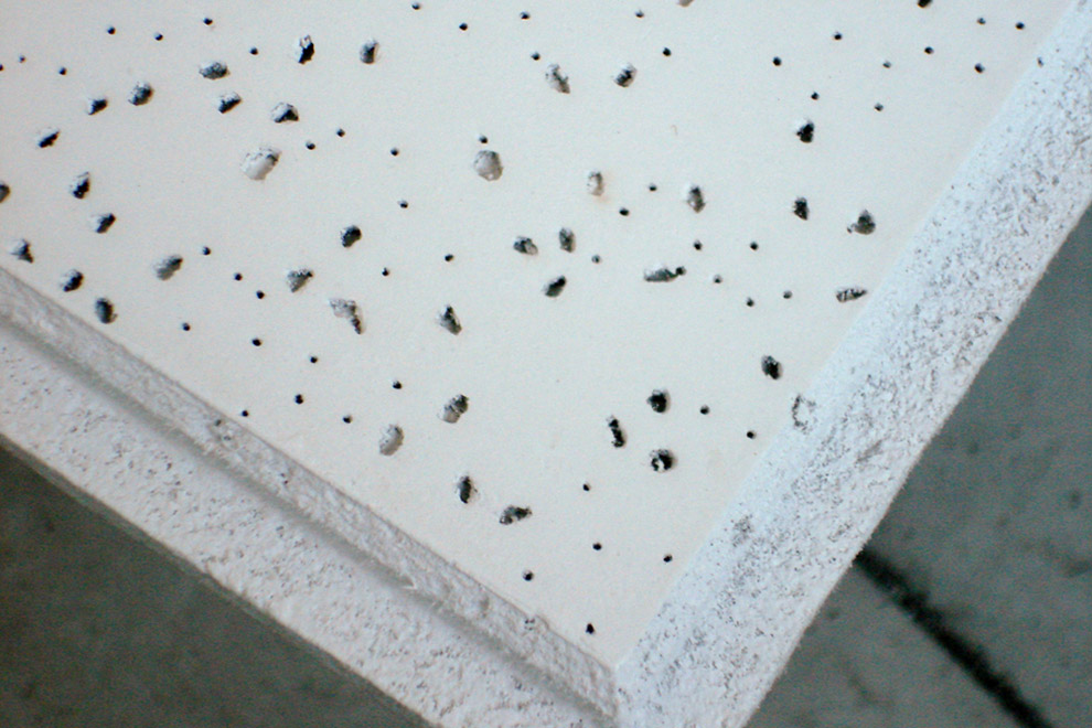 Gypsum Board