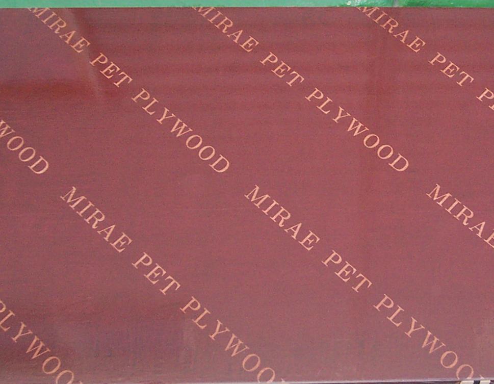 PET FILM FACED PLYWOOD