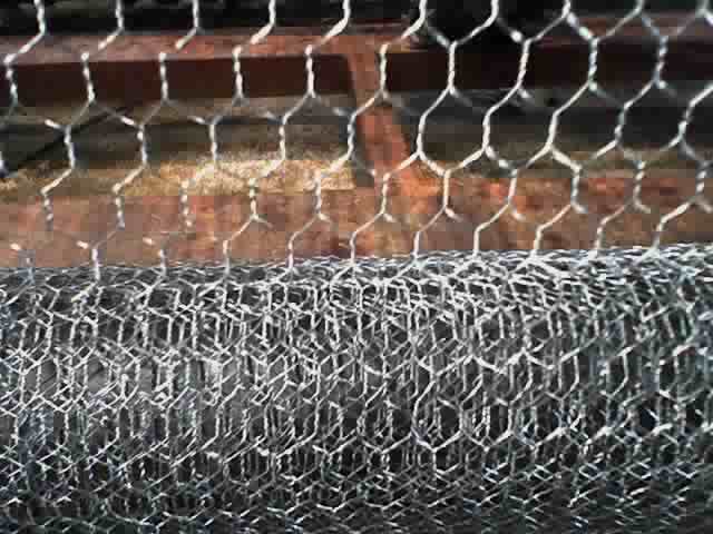 hexagonal wire mesh