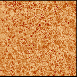 Rustics Floor Tiles