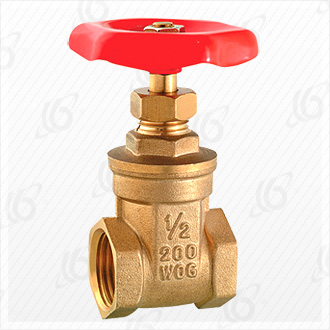 Brass gate valve