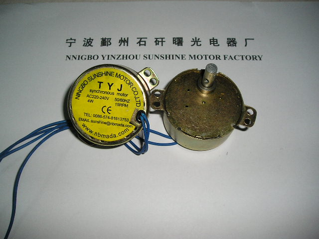 49TYJ Synchronous motor
