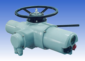 Valve & Actuator