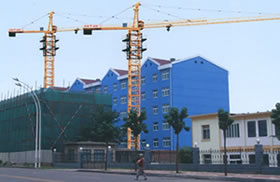 tower cranes(hydraulic self-rising, potain technology)