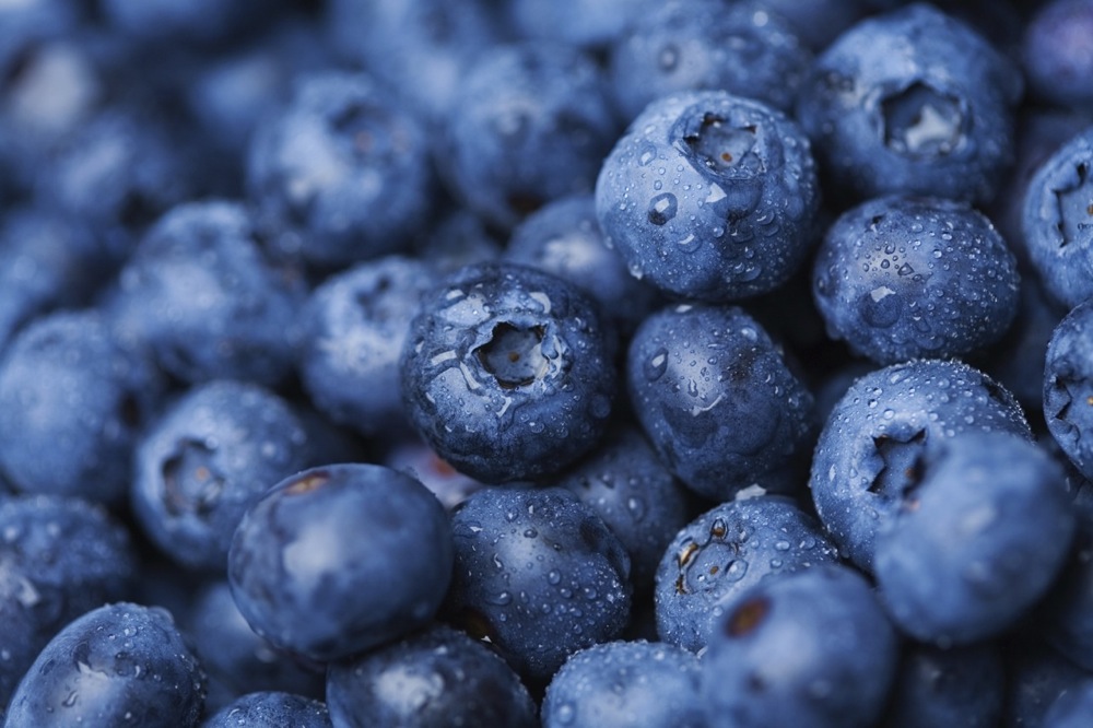 Frozen Blueberries