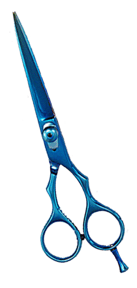 Hair Dressing Scissors.