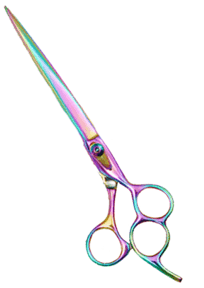 Hair Dressing Scissors.