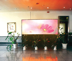 Indoor Full Color LED display