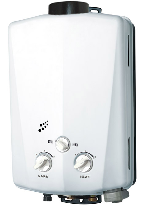 Flue type Gas water heater LPG/NG (WM-C0610)