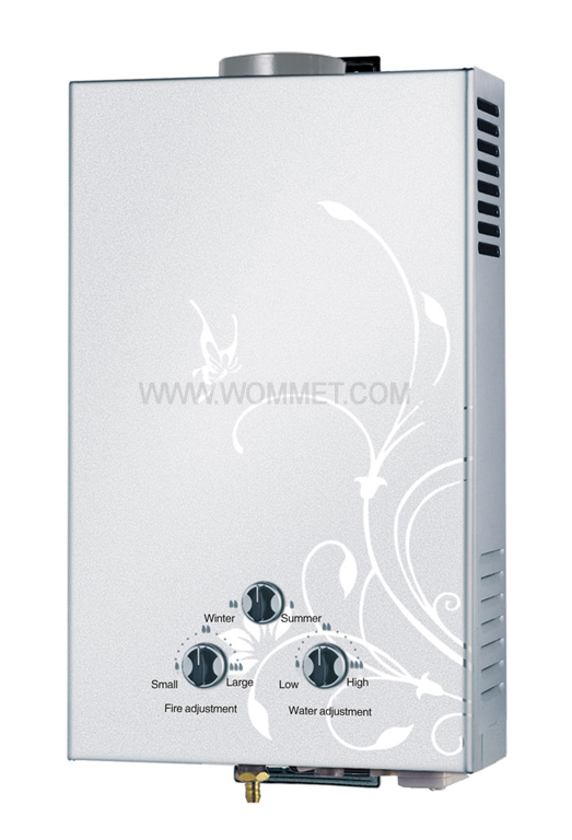 WM-CS105 S.S Flue type LPG/NG Wall mounted Gas Water Heater