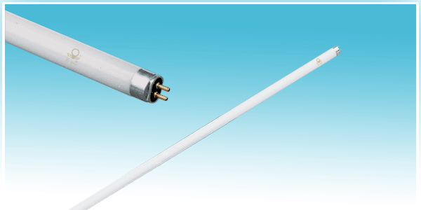 T5 fluorescent lamp