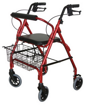 Aluminum walker