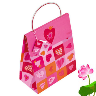 Gift paper bag02