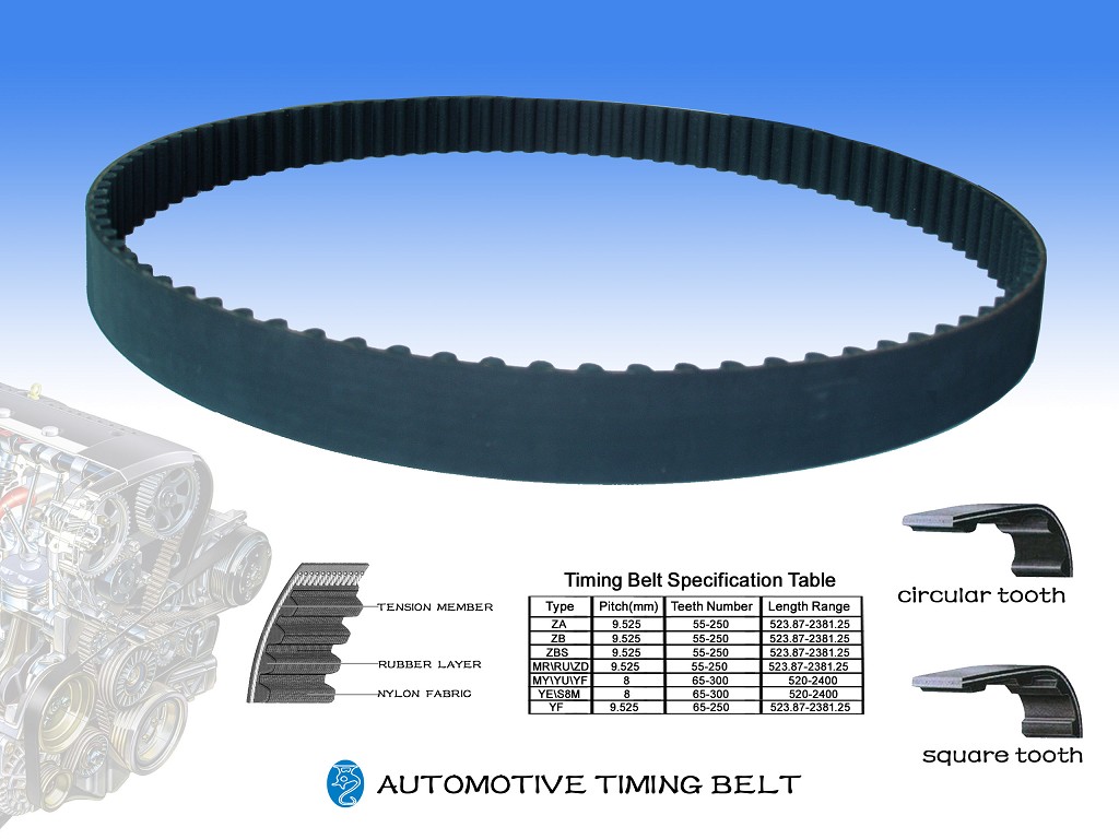 timinig belt