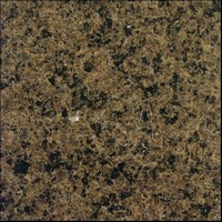 Tropic Brown Countertop