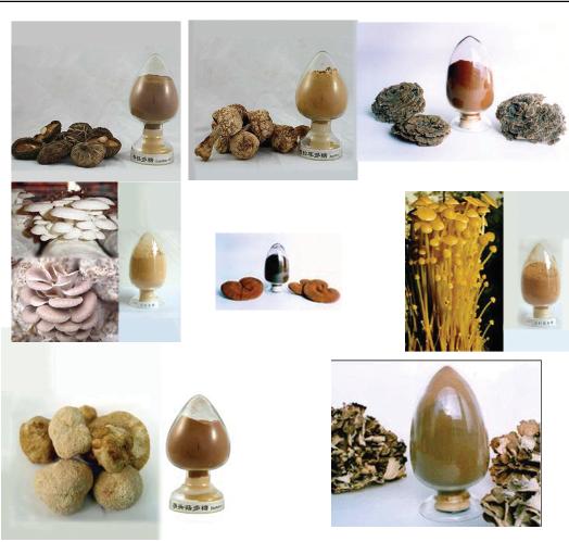 shiitake polysaccharide