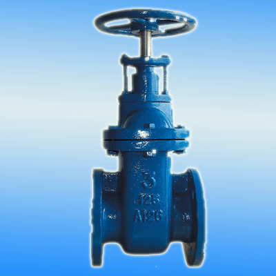 gate valve