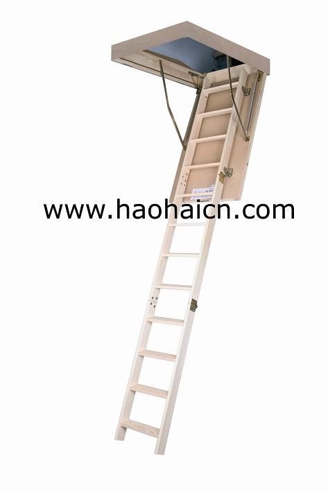 loft ladder