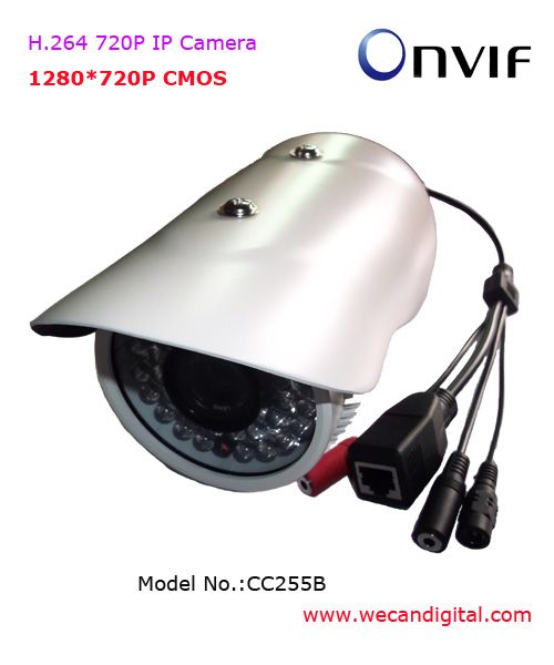 H.264 720P Infrared Waterproof IP Camera