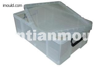 Plastic Storage Box Mould