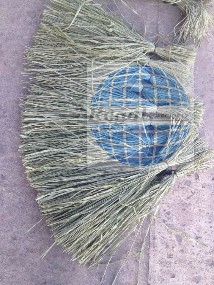 dryed RAFFIA GRASS