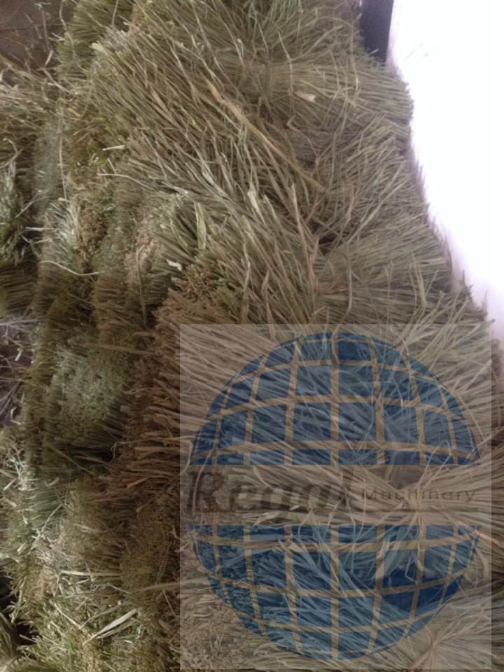 naturl dryed RAFFIA GRASS bundle