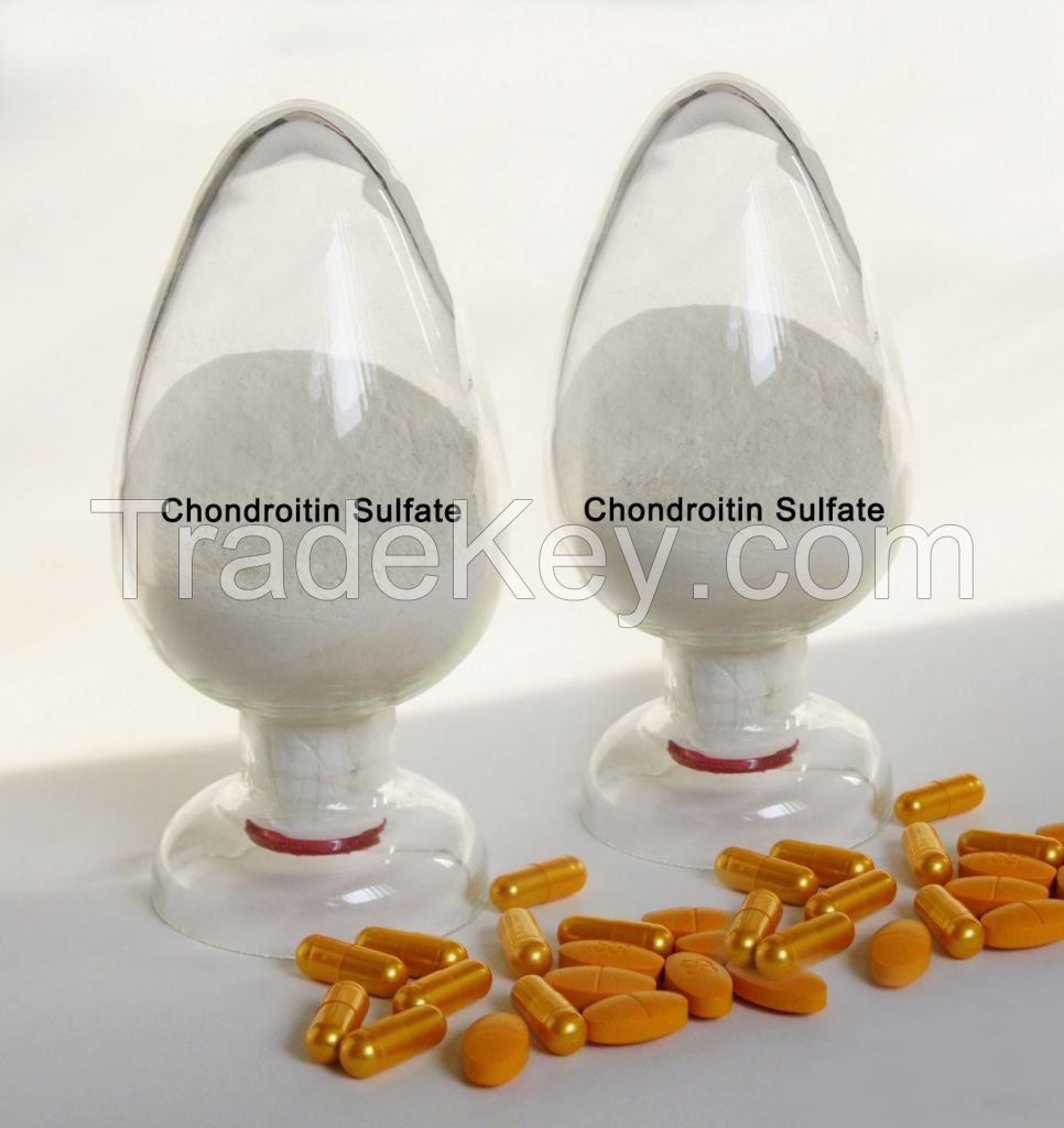 complex tablet/capsule of chondroitin glucosamine MSM