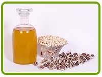 Moringa Oil