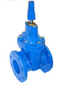 EN1074 /BS5163 gate valve