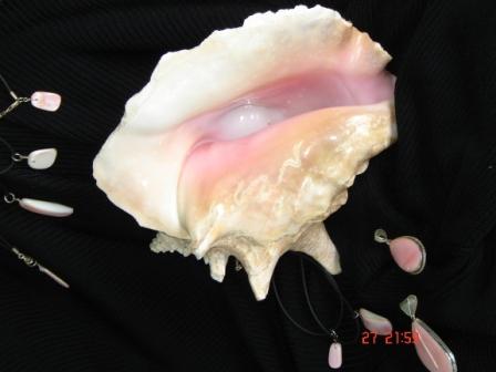 CARACOL (PINK SHELL)