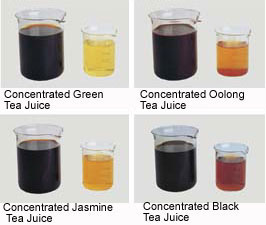 tea concentrate