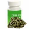 PogaMoonga Moringa Energy Powder Capsules