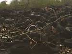 Scrap Tires of All Sizes and Types