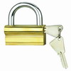 brass padlock