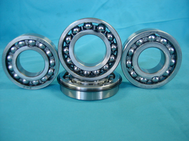 Bearing with filling slot