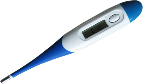 Digital thermometer with flexible
