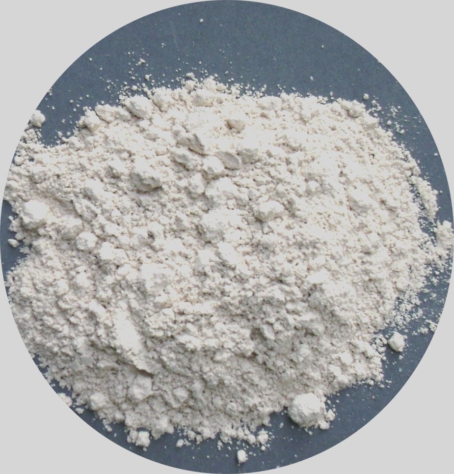 Diatomaceous Earth for insecticide