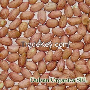 Panuts grains,Groundnut HIGH QUALITY-LOW PRICE
