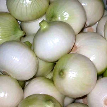 onion