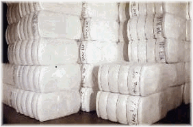 cotton product