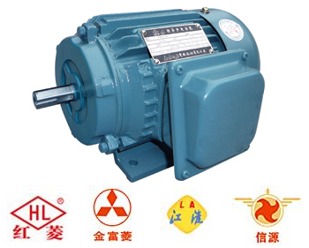 Y Series Three-Phase Induction Motors (Y80-315)