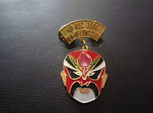 badge, pin