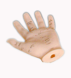 Hand acupuncture models