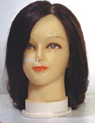 Trainning Mannequin Head