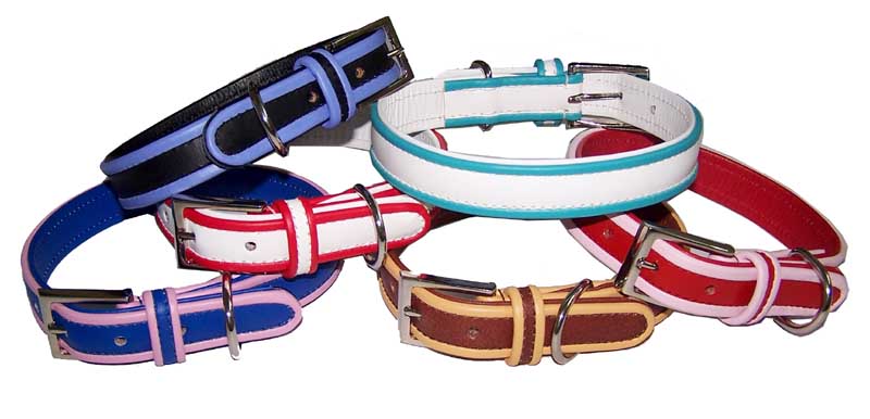 Dog Collars Leashes Tags