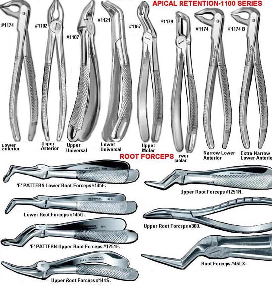 Dental Instruments