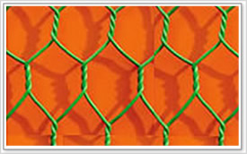 Hexagonal Wire Netting