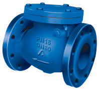 BS check valve