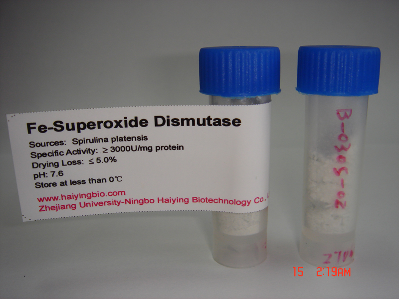 Fe-SOD(Fe-Superoxide Dismutase)